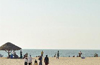 Seafood festival at Malpe Beach